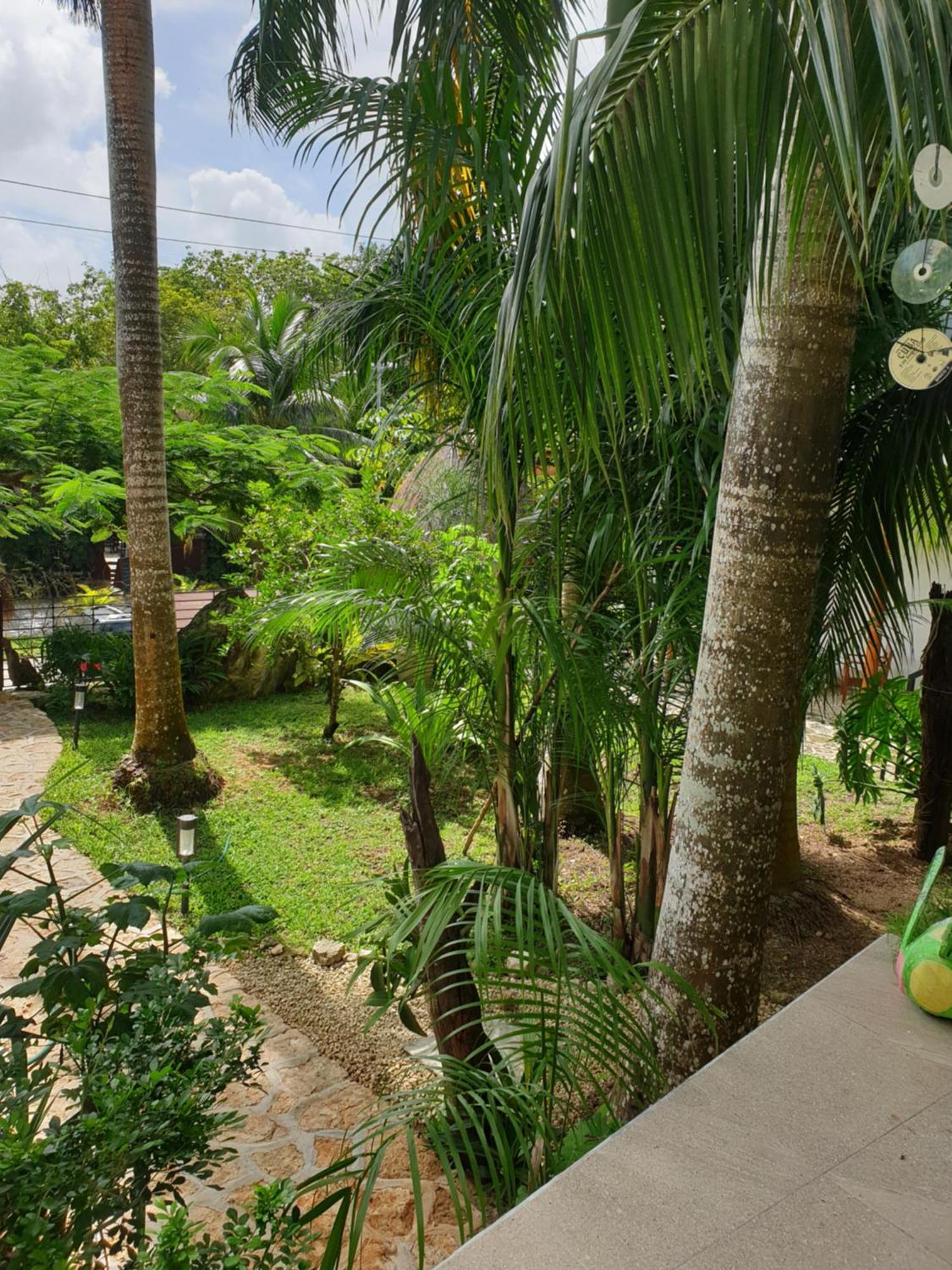 Camino Del Alma Apartments Bacalar Zimmer foto